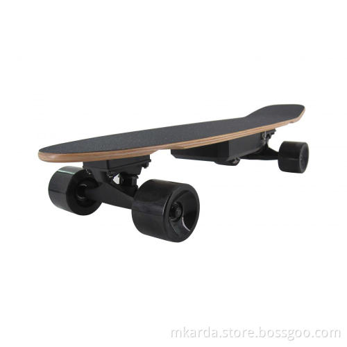 Remote Fish Electric Skateboard